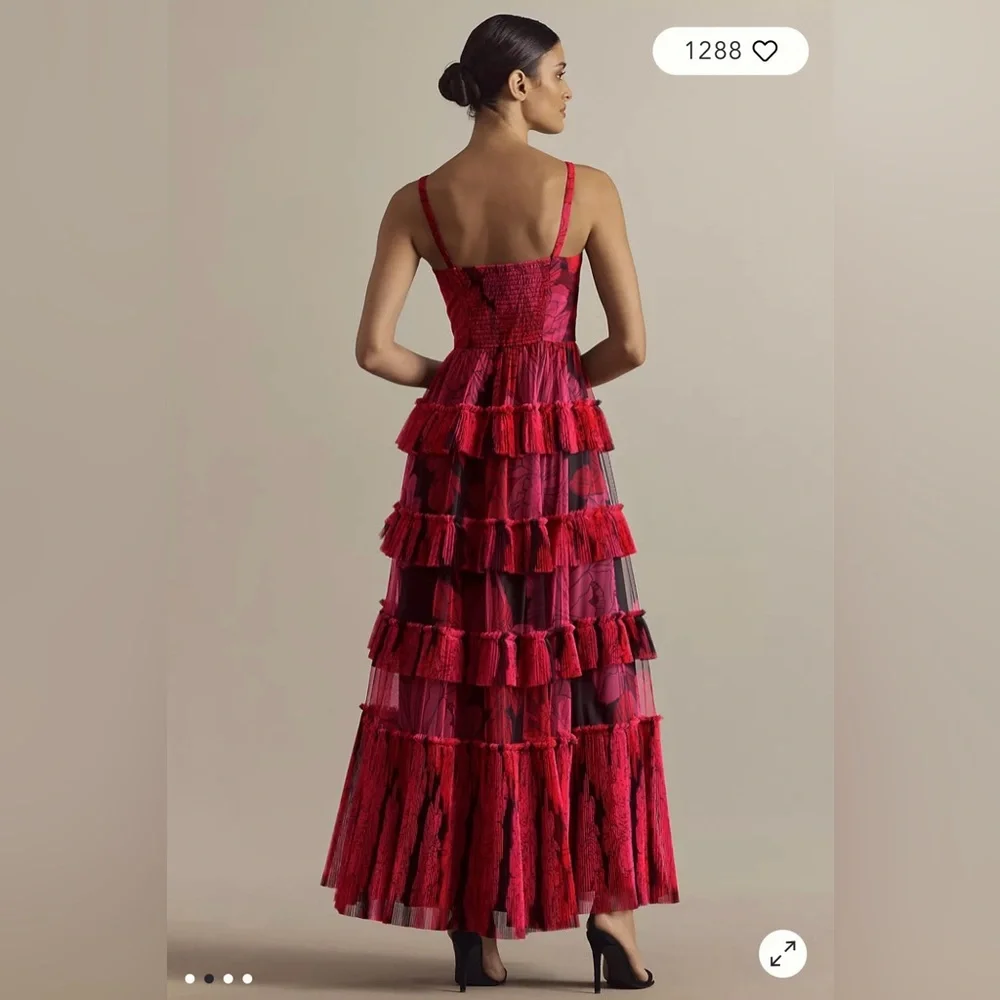 NWT Hutch Freya Sleeveless Tiered Tulle Maxi Dress - Picture 2 of 9